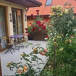 Matylda Karpacz * Ściegny