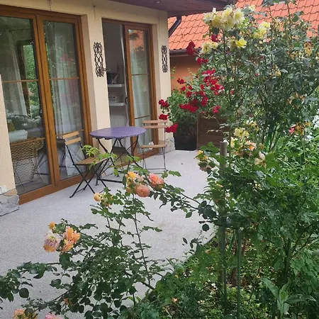 Matylda Karpacz Ściegny